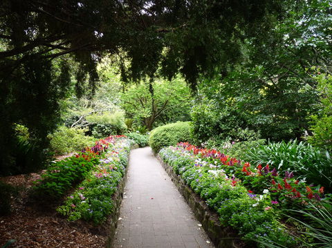 EG Waterhouse National Camellia Gardens - Tourism Brisbane 1
