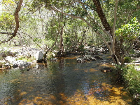 Emerald Creek, Dinden West Forest Reserve - Tourism Brisbane 1