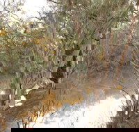 Eulo Town Hole - Tourism Brisbane