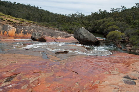 FR Berry Reserve - Tourism Brisbane 0