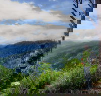 Gloucester Falls Walking Track - Tourism Brisbane