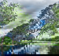 Gold Coast Regional Botanic Gardens - Tourism Brisbane