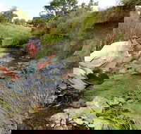 Gold Panning Deep Creek - Tourism Brisbane