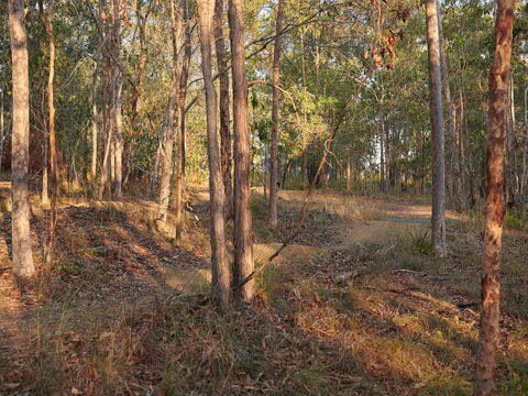 Grande Park - Brisbane Tourism 2
