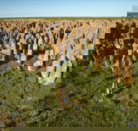 Gulf Region - Tourism Brisbane