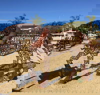 Gundersen Reserve - Tourism Brisbane