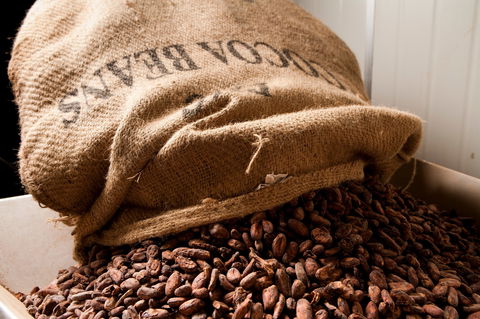 Haigh's Chocolates Visitor Centre - Tourism Brisbane 2