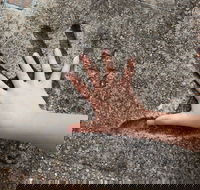 Hands of Fame Park - Brisbane 4u