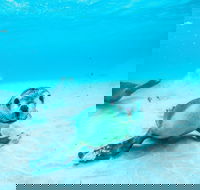 Jurien Bay - Tourism Brisbane