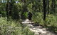 Karloo Walking Track - thumb 0