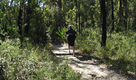 Karloo Walking Track - Tourism Brisbane 0