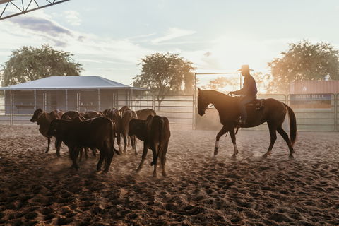 Katherine Outback Experience - Horse Riding Experience - Tourism Brisbane 2