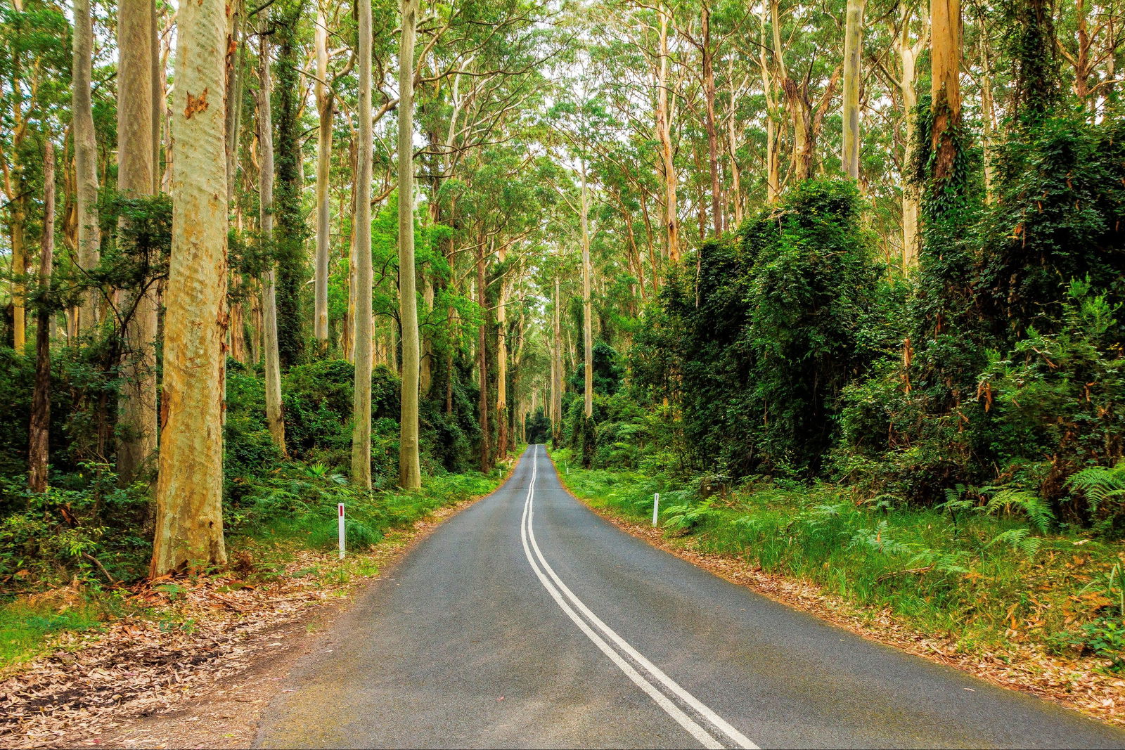 Kioloa NSW Brisbane Tourism