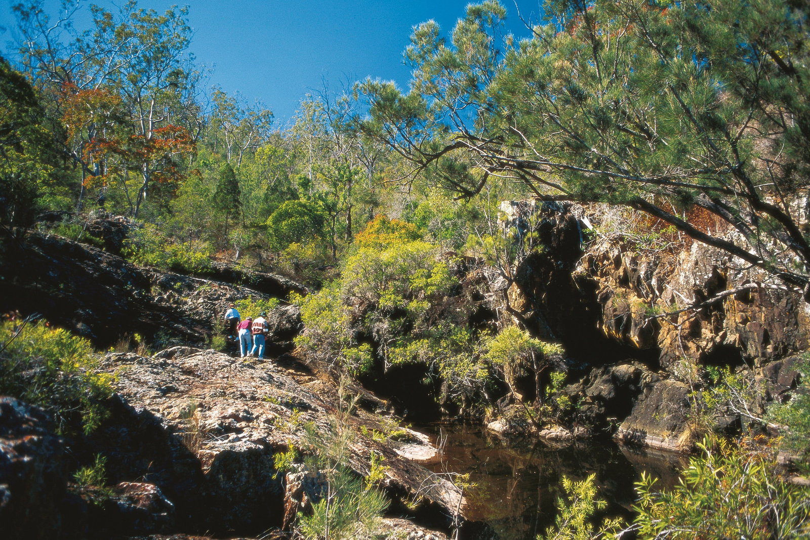 Tablelands QLD Tourism Brisbane