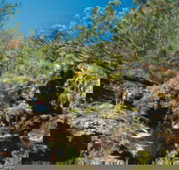 Kroombit Tops National Park - Tourism Brisbane