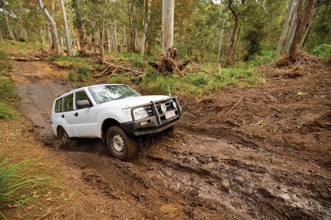 Kroombit Tops National Park - Tourism Brisbane 1