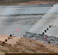 Lake Wyangala - Brisbane Tourism