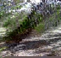 Lanky's Walk - Tourism Brisbane