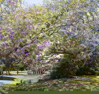 Leis Park - Tourism Brisbane