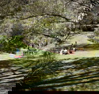 Leura Cascades picnic area - Brisbane Tourism