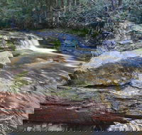 Liffey Falls Reserve - Tourism Brisbane