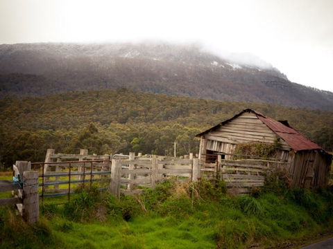 Liffey Falls Reserve - Tourism Brisbane 2