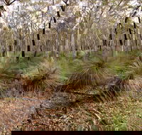 Livingstone National Park - Brisbane Tourism