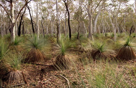 Livingstone National Park - Tourism Brisbane 0