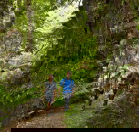 Melba Gully - Brisbane Tourism