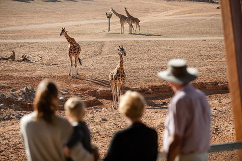 Monarto Safari Park - Tourism Brisbane 0