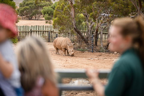 Monarto Safari Park - Tourism Brisbane 1