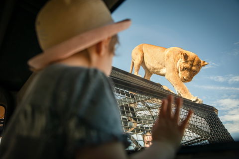 Monarto Safari Park - Tourism Brisbane 2