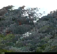 Mount Yarrowyck Nature Reserve - Tourism Brisbane