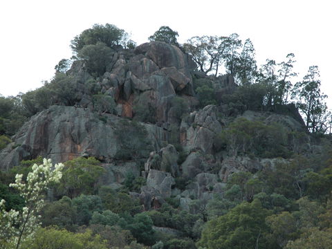 Mount Yarrowyck Nature Reserve - Tourism Brisbane 0