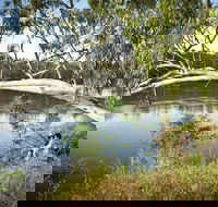 Murray Valley National Park - Tourism Brisbane