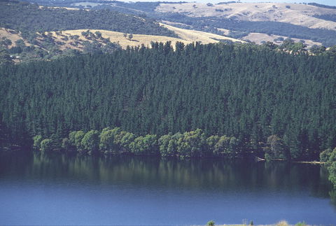 Myponga Reservoir Lookout - Tourism Brisbane 0