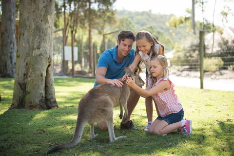 Paradise Country - Tourism Brisbane 2