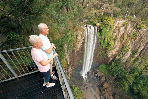 Queen Mary Falls Circuit, Main Range National Park - Tourism Brisbane 1