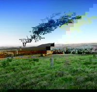 Ravensbourne - Tourism Brisbane