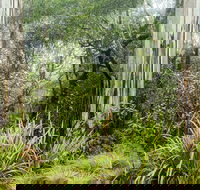 River walking track - Tourism Brisbane