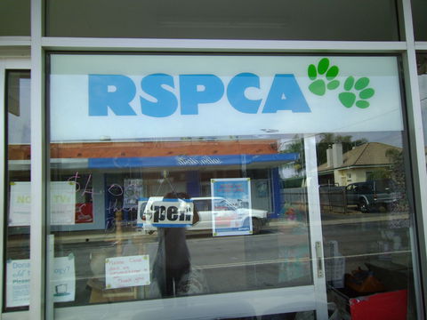 R.S.P.C.A Opportunity Shop - Brisbane Tourism 0