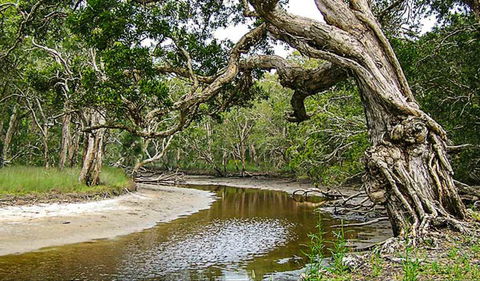 Saltwater National Park - Brisbane Tourism 0