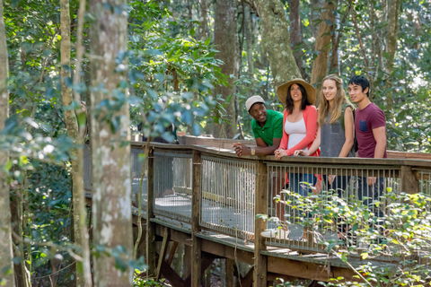 Sea Acres Rainforest Centre - Tourism Brisbane 1