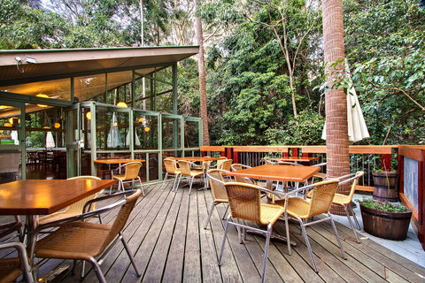 Sea Acres Rainforest Centre - Tourism Brisbane 2