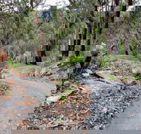 Stepping Stone Crossing to Cascades Trail - Tourism Brisbane