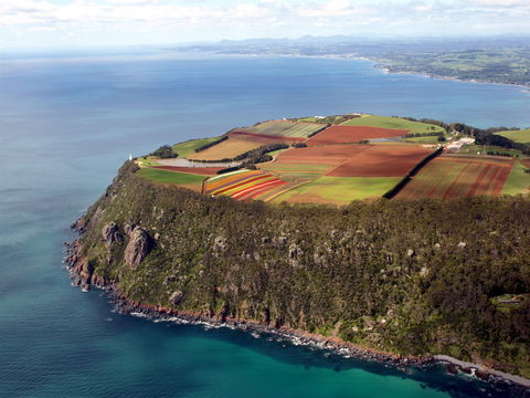 Table Cape - Tourism Brisbane 1