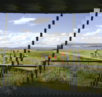 Tamar Island Wetlands Centre and Reserve - Tourism Brisbane