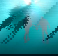 The Arches Marine Sanctuary