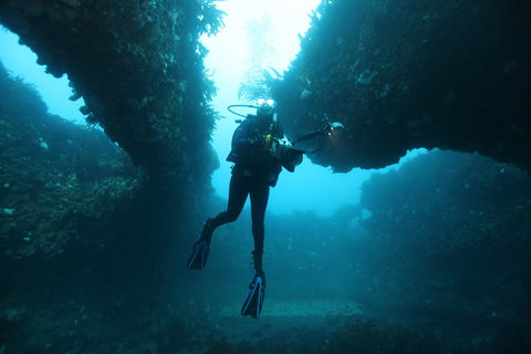 The Arches Marine Sanctuary - Brisbane Tourism 1
