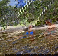 Tjaynera Falls Sandy Creek - Tourism Brisbane